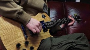 GIBSON USA Les Paul Studio FSR Smartwood "Swamp Ash + Rosewood" (2009) - DEMO