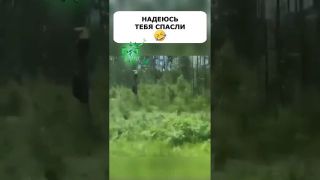 В НАШЕЙ СТРАНЕ ТАКОЕ НЕ РЕДКОСТЬ 🤣