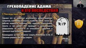Проблема зла: зачем Бог создал плохое дерево? | ? Школа Апологетики #25