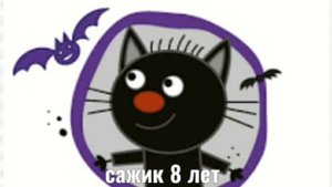 Сколько лет трем котам и его друзей