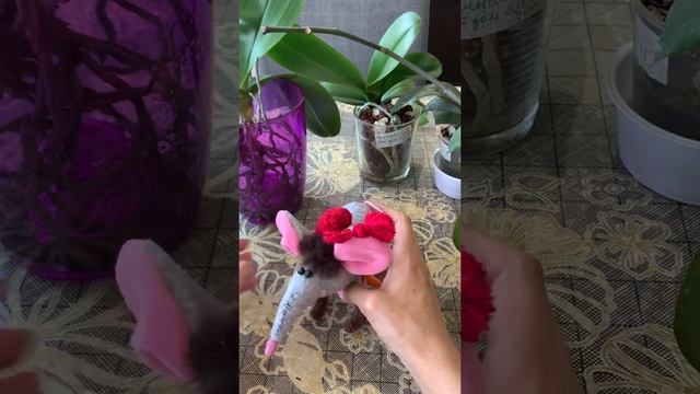Системы посадки орхидей. Их отличия.