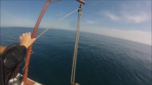 ОГРОМНАЯ АКУЛА ПОЙМАНА В ЧЕРНОМ МОРЕ ВОДОЛАЗОМ!