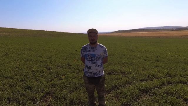 ДРЕВНИЕ ДОЛЬМЕНЫ, ЗАМКИ И КОП СРЕДНЕВЕКОВЫХ МОНЕТ! Путешествие по Черному морю! смотреть онлайн