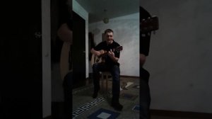 Я негодяй Магомед дзыбов (cover под гитару)