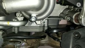 MotoPodbor25. Априлия Туоно. Aprilia Tuono 1000R. мотоподборвладивосток