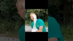 ? Вот так и жёны ждут от мужей внимание и ласку!!!!! Трогательное видео!