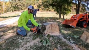 Husqvarna 550xp Working a Stump
