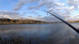 Разгадка пассивного окуня на Красном.