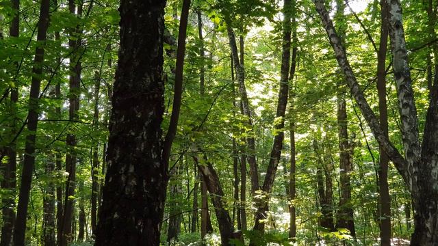 Положи туда деньги сегодня ! смотреть онлайн