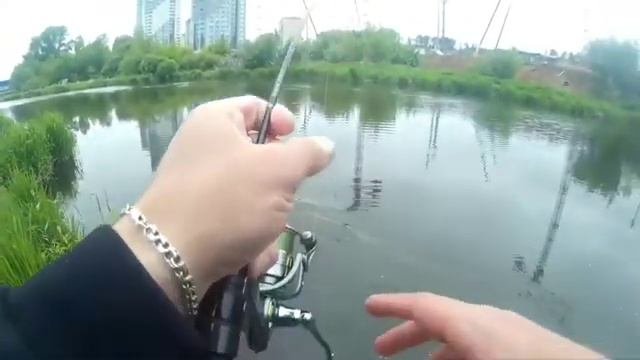 Городская рыбалка и много разной рыбы