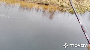 Бейткастинг и ХэвиМормышинг.