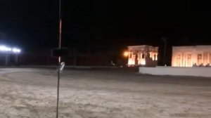 арабские скакуны