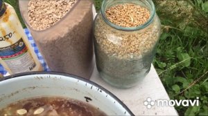 Овощная мешанка с добавлением Хлеба для Птицы домашней