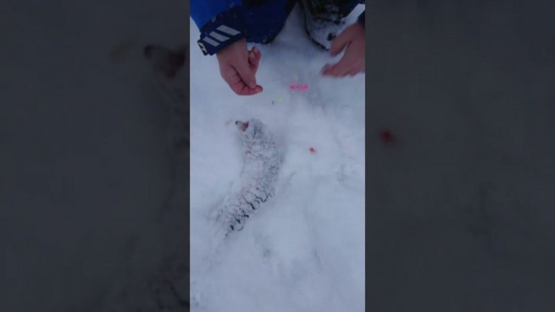 Паста жёлтый сыр