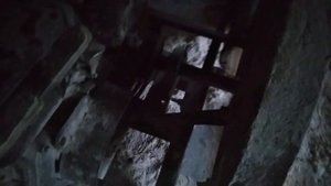 Подробный обзор моей дисковой пилорамы