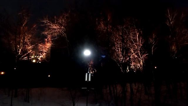 Новогодняя сказка, волшебный лес Воробьёвых гор 2022 смотреть онлайн