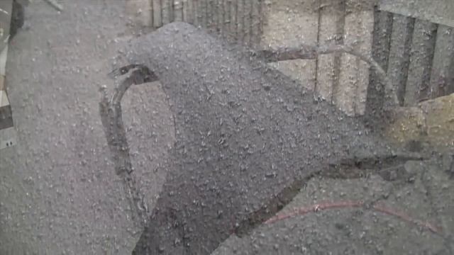 U POL RAPTOR® Нанесение и смешивание 1 и 2 часть смотреть онлайн