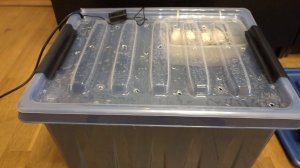 Самодельный инкубатор для кладки черепахи.