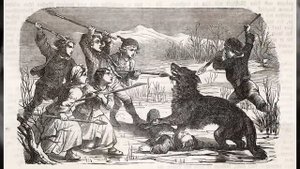 Самые известные Животные-людоеды, убившие более 1000 человек. Большой выпуск