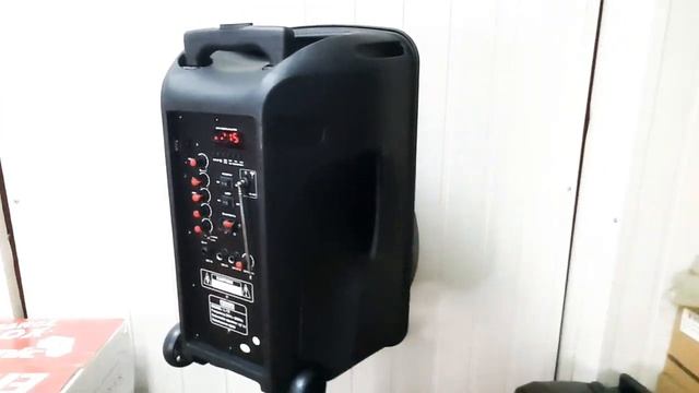 Портативная колонка для Караоке Мощная Feiypu L-12 смотреть онлайн