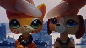 LPS:тик ток.