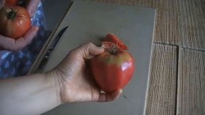 17 сентября 2019г. сорт томата КАЗАХСТАНСКИЕ дегустация с мамой