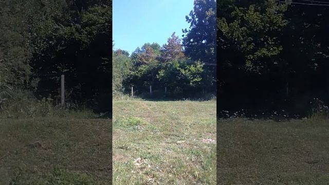 Бандиты у власти.Режет. Апшеронский район . смотреть онлайн