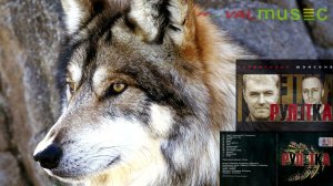 Группа Рулетка - Стая