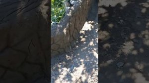 Альпийская Горка арт бетон. 1часть (укрепления альпийской горки.)