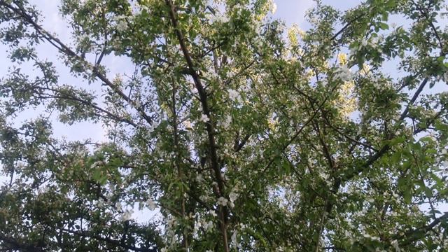 зачем при замерах в сечении указывать три вида давления смотреть онлайн