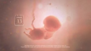 Elevit Pregnancy Multivitamin