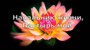 Начальник жизни, Пастырь мой