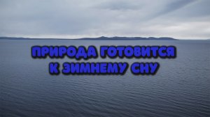 Природа готовится к зимнему сну. Релакс видео. Осенний пейзаж