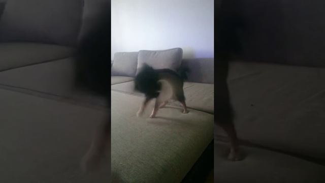 Зачем стирать носки? Любовь и страсть! смотреть онлайн