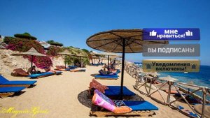 Отели Египта    Siva Sharm Resort & Spa 4*    ( Египет, Шарм Эль Шейх)
