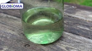 ГЛОБИОМА Биота Макс - Восстановление почвы. Средства защиты растений. Биофунгицид, СЗР.