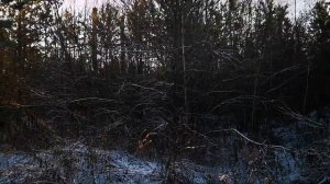 Костоусово. Бывшая УЖД. Старый рудник. Лесное озеро.