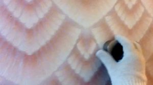 Поиск арматуры в железобетонной стене с помощью неодимового супермагнита