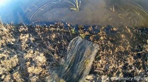 Караси Щука на Оше. Рыбалка кастинговой сетью. Рыбалка в Омской области.
