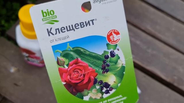 ЧЁРНОЙ ПЯТНИСТОСТИ НЕ БУДЕТ! Опрыскайте РОЗЫ ЭТИМ КОКТЕЙЛЕМ! ЧТО делать ЕСЛИ УЖЕ ПОЯВИЛИСЬ ПЯТНА