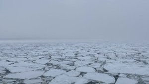 Рыбалка во льдах