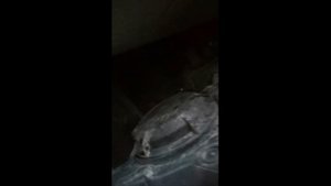 Как снять фару и заменить лампочку, на Пежо Боксер/Ситроен Джампер/Фиат дукато