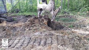 корчеватель пней