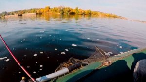 ОСЕНЯЯ ПЛОТВА ПРЁТ ДУПЛЕТАМИ , ЛОВЛЯ ПЛОТВЫ НА БОРТОВЫЕ УДОЧКИ