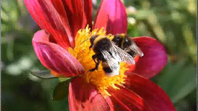 Анна Астахова. Так будет не всегда смотреть онлайн