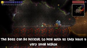 How to defeat Queen Bee in Master Mode - Terraria 1.4 Guide