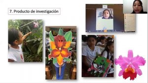 El arte y la magia de las orquídeas en la escuela - II CIOBE