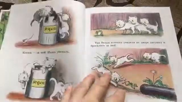 ОбзорКниги ? В. Сутеев «Сказки и картинки» Издательство АСТ