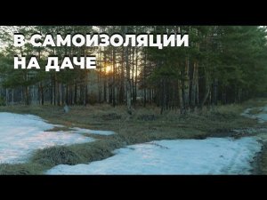 Поездка на дачу во время самоизоляции