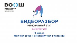 Видеоразбор. Региональный этап 2024. Биология. 9 класс. Морфология и систематика растений